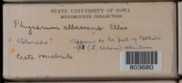 Image Associated With the Occurence